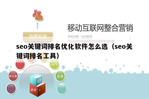 seo关键词排名优化软件怎么选（seo关键词排名工具）